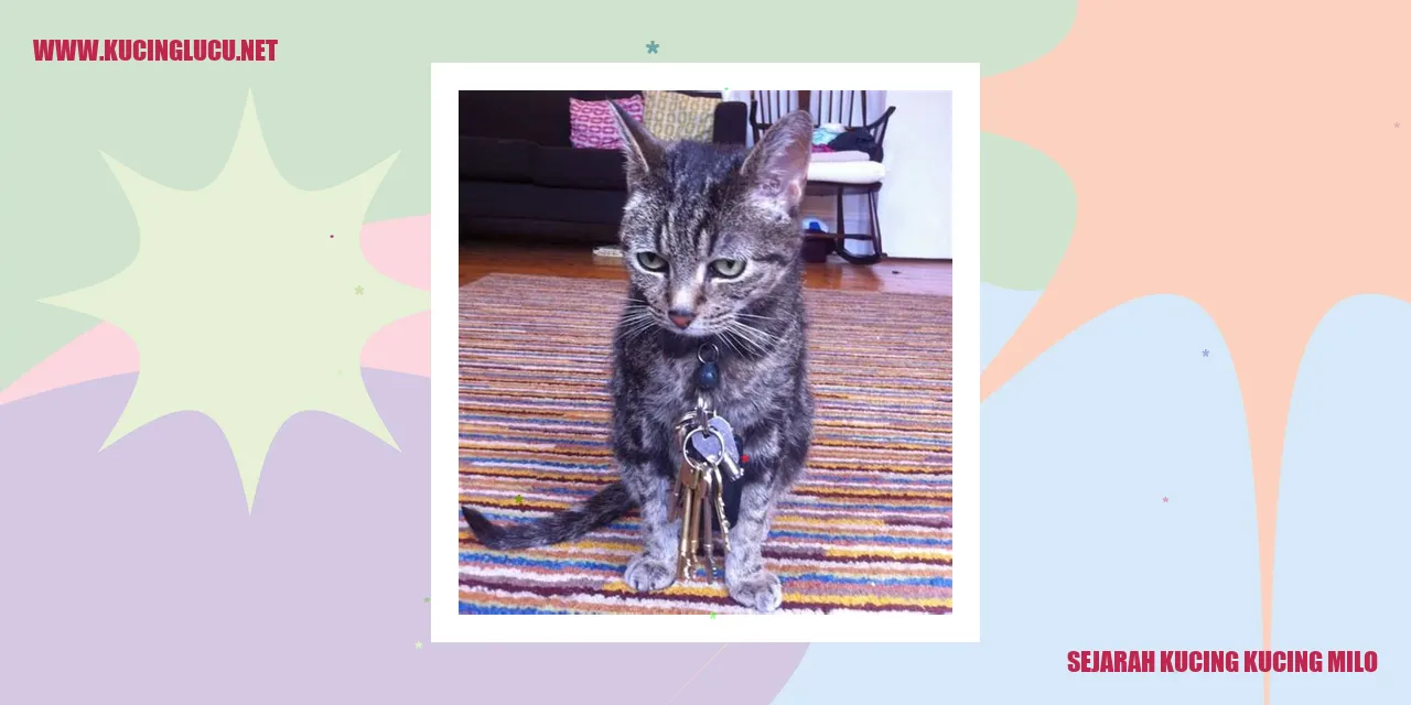 Gambar Kucing-Kucing Milo yang Menarik