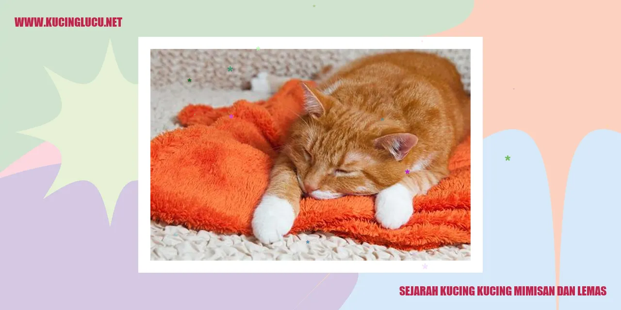 Gambar Kucing Mengalami Mimisan dan Kondisi Melemas