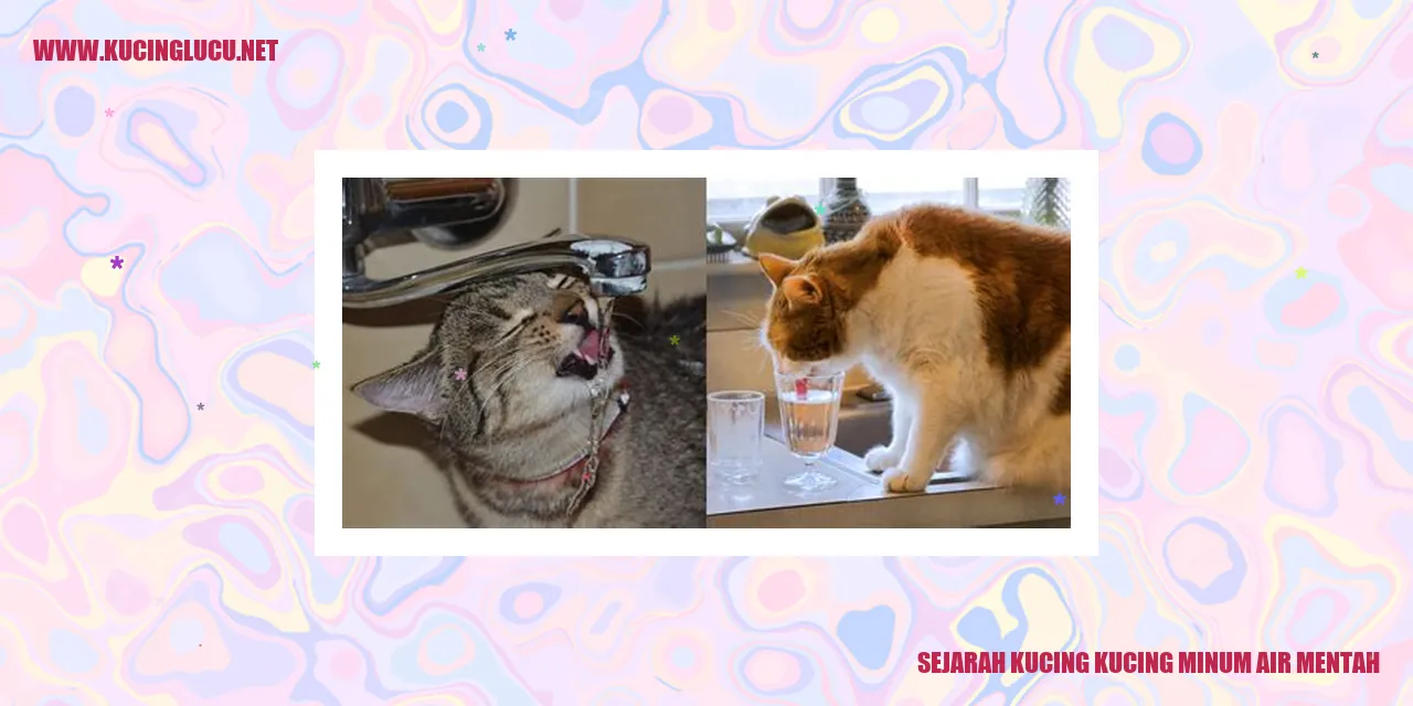 ilustrasi kucing minum air mentah
