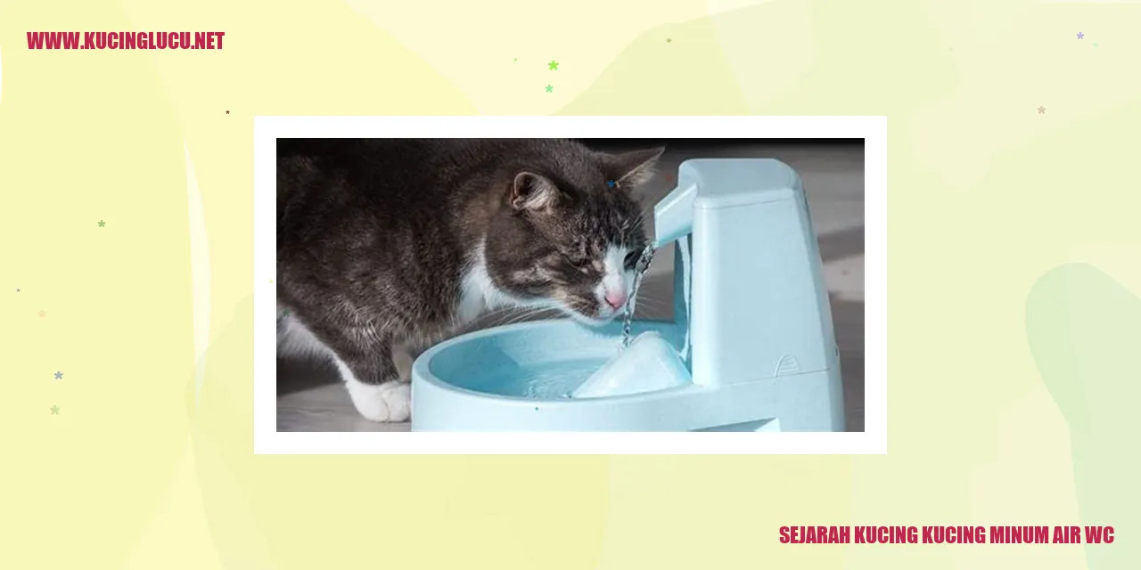kucing minum air wc
