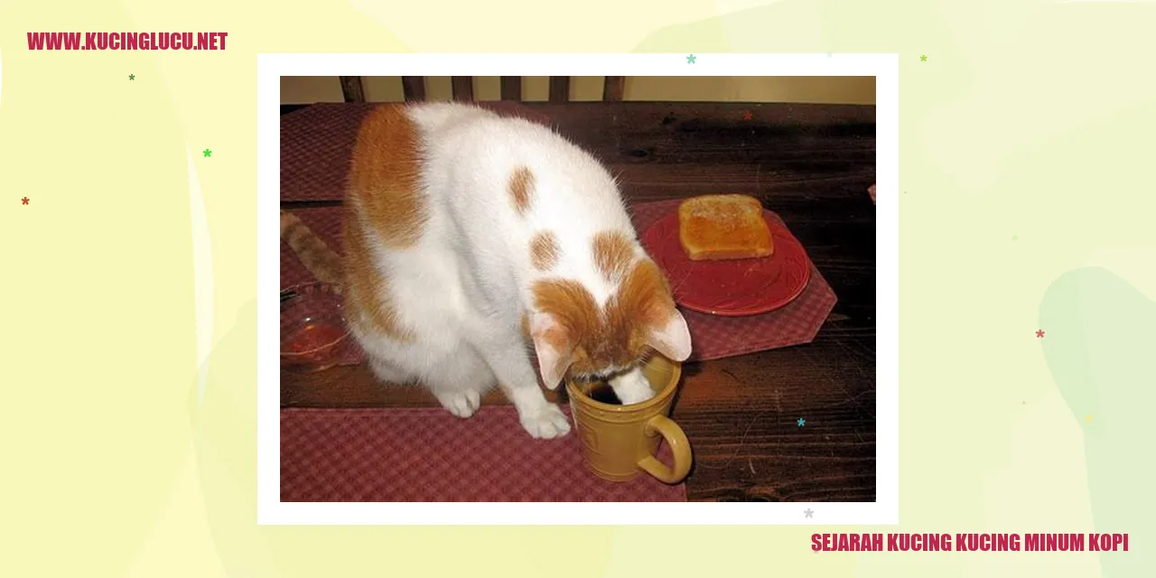 Gambar Kucing Menyeruput Kopi