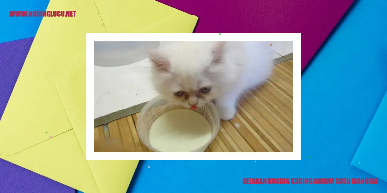 Gambar Sejarah Kucing Meminum Susu Manusia