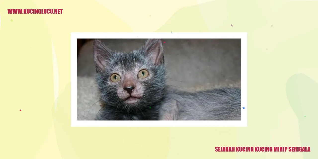 gambar serigala dan kucing