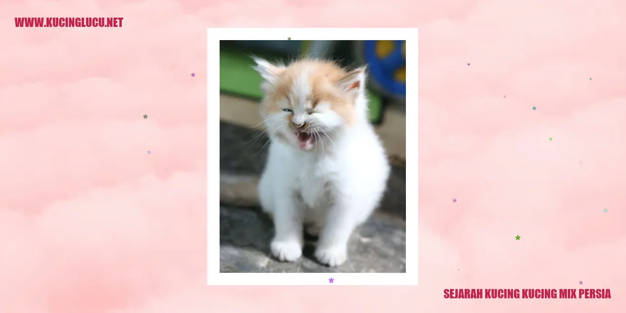 Gambar Kucing Mix Persia