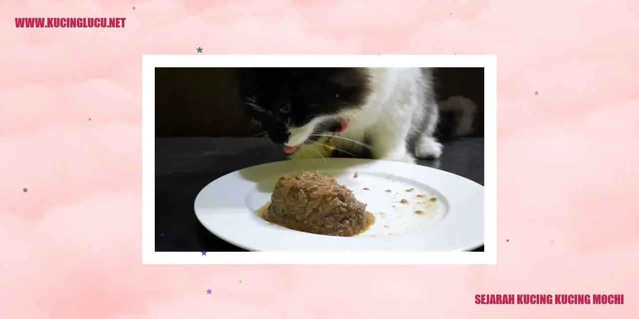 Gambar Kucing Mochi