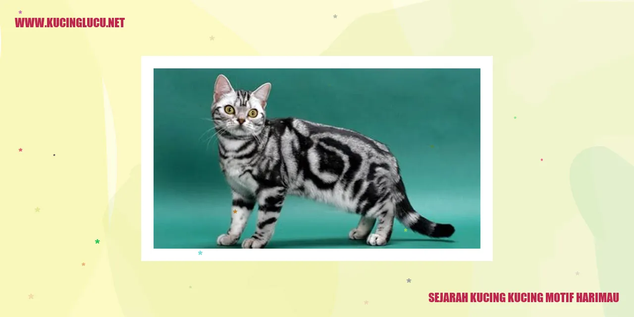 Kucing Motif Harimau