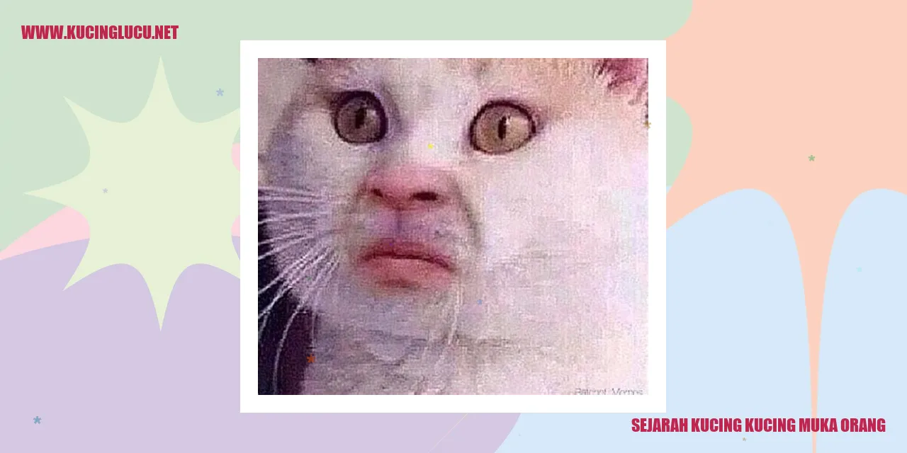 Sejarah Kucing Muka Orang