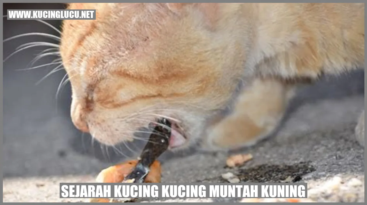 gambar kucing