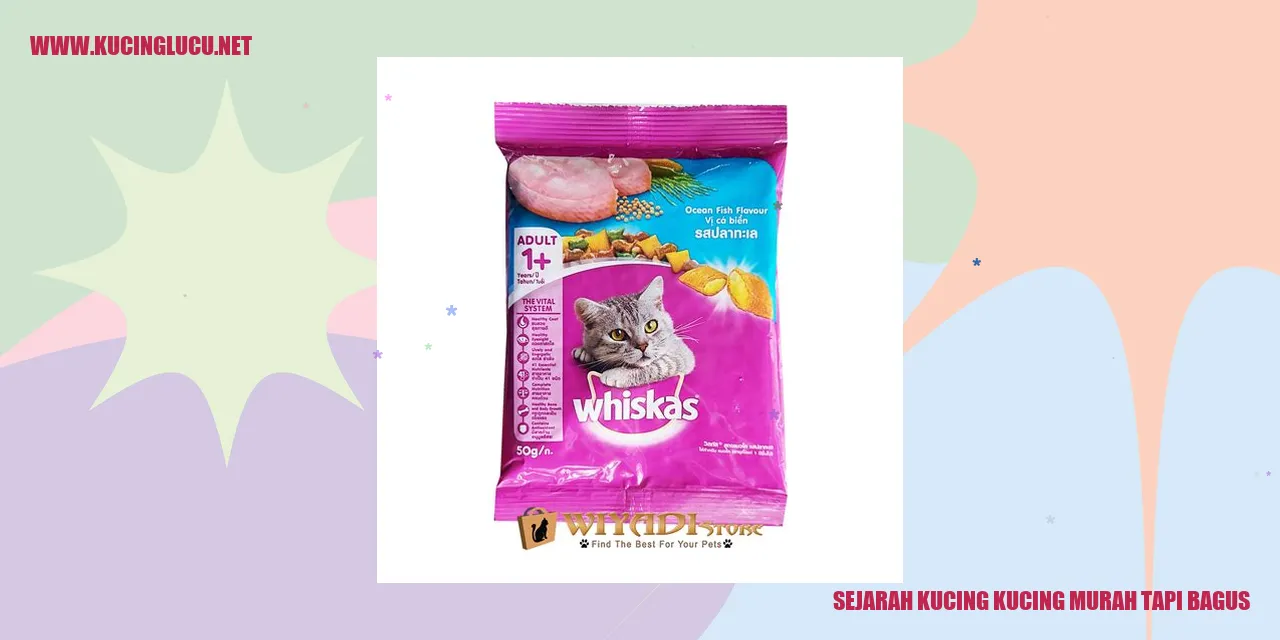 Kucing Murah tapi Bagus