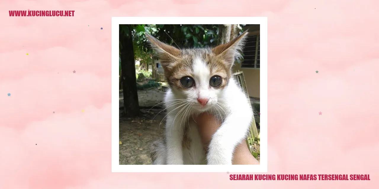 Sejarah Kucing Mengalami Kesulitan Bernapas