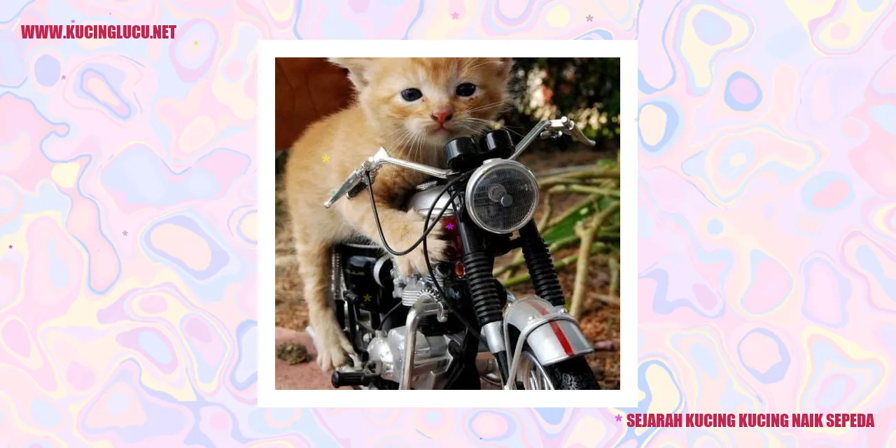 Ilustrasi Kucing Mengendarai Sepeda