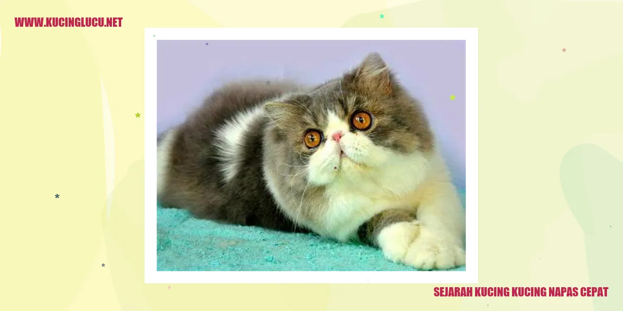 Gambar Kucing Napas Cepat