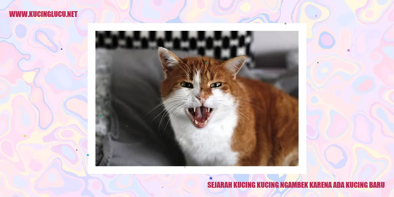 Kucing Ngambek