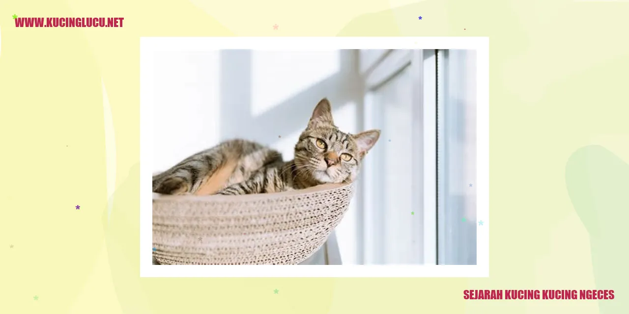 Kucing Ngeces