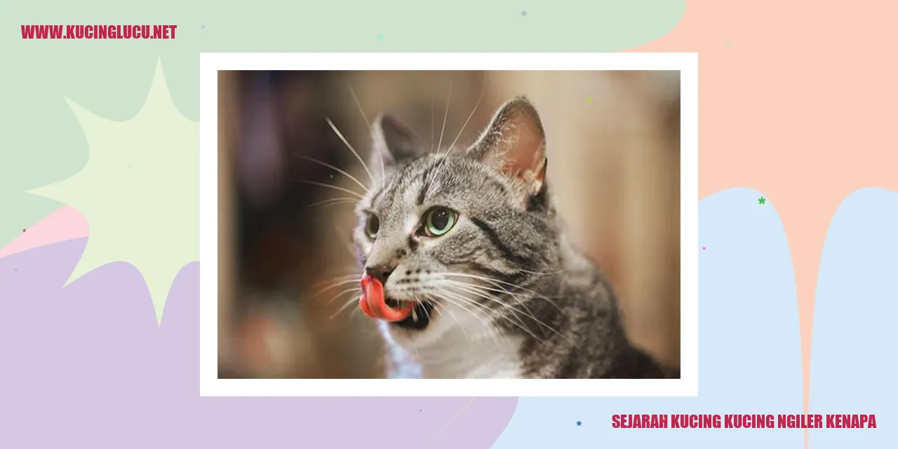 Sejarah Kucing Kucing Ngiler Kenapa