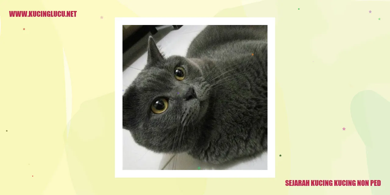 Kucing non Pedigree
