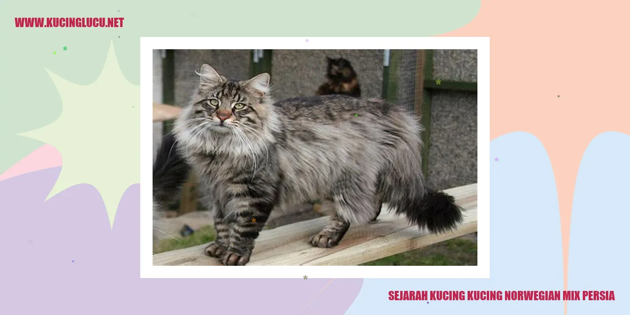 Sejarah Kucing Norwegian Mix Persia