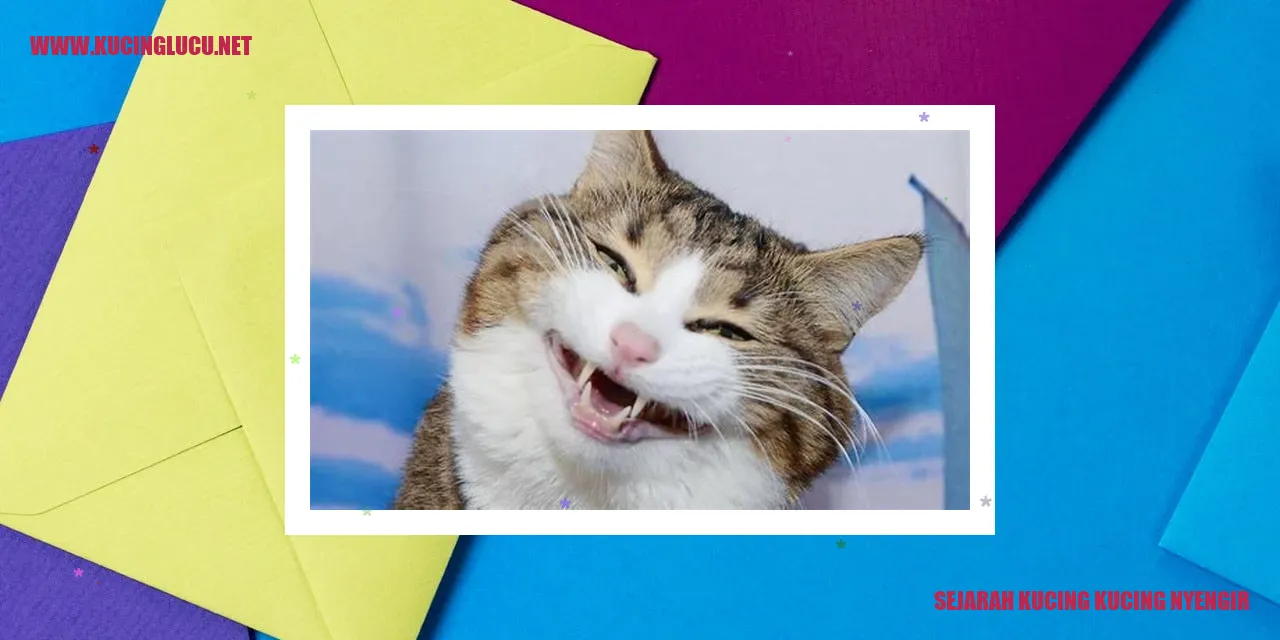 Gambar kucing nyengir