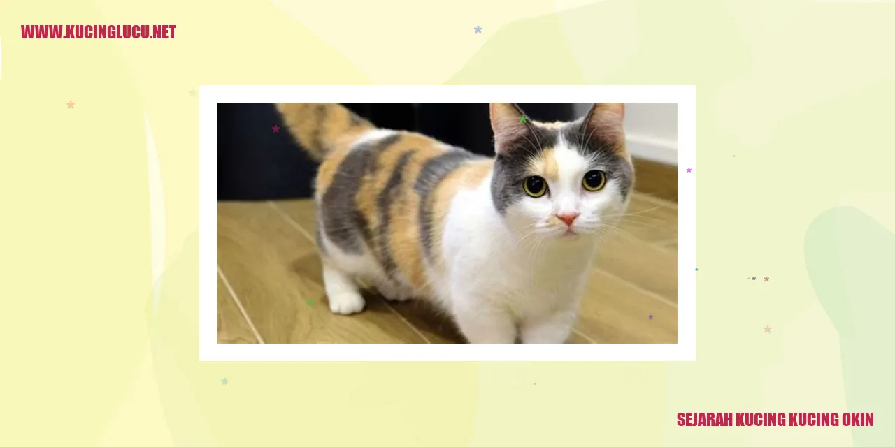 Sejarah Kucing-kucing Okin