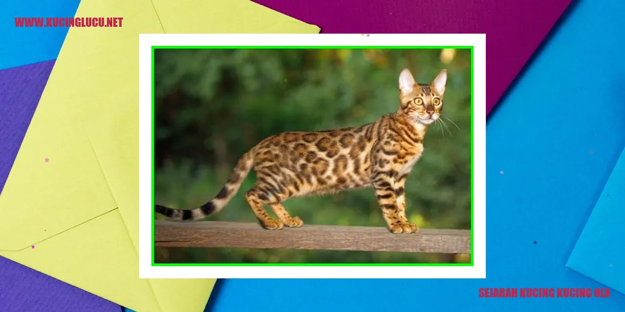 Sejarah Kucing kucing olx