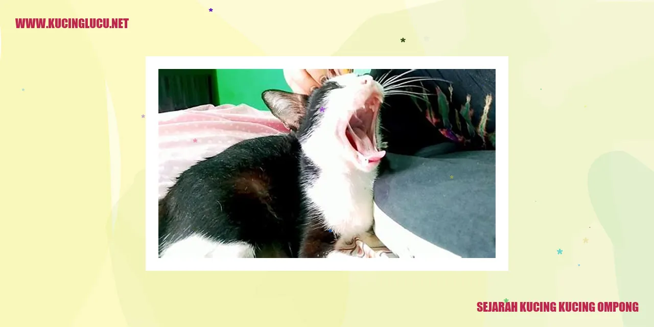 Kucing kucing ompong