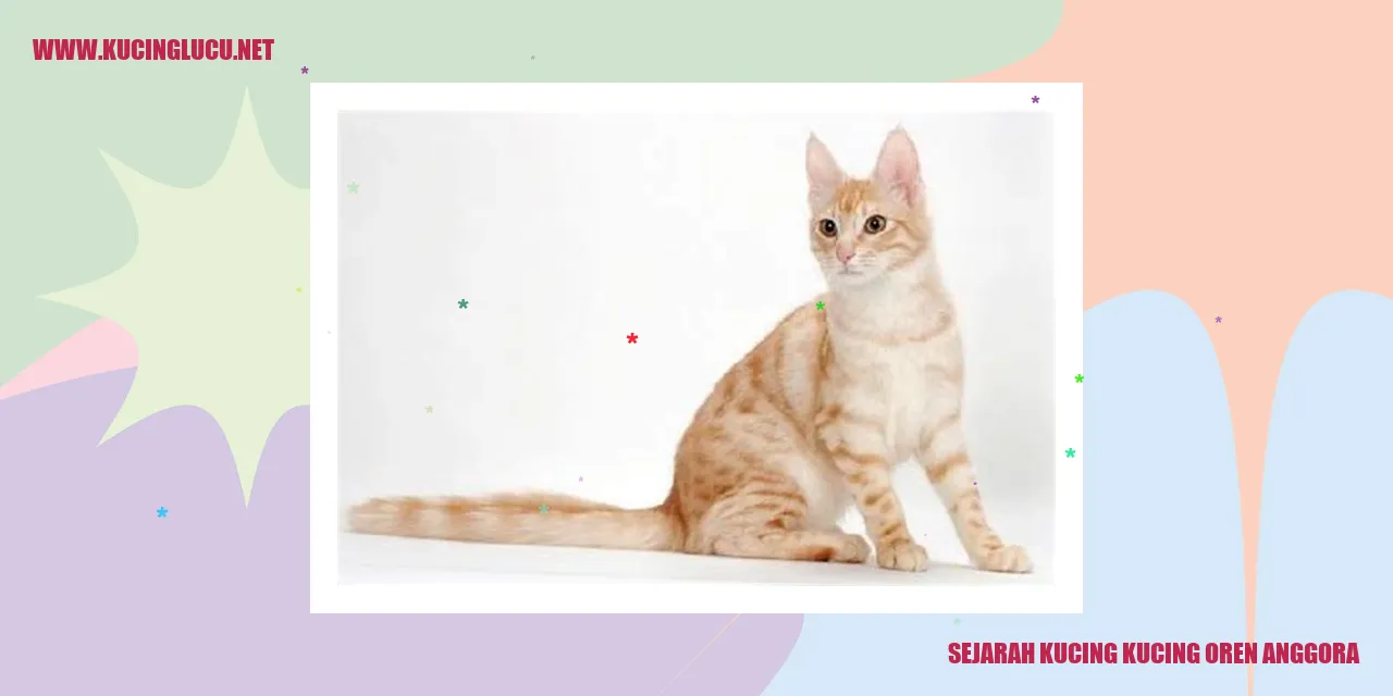 Sejarah Kucing Oren Anggora