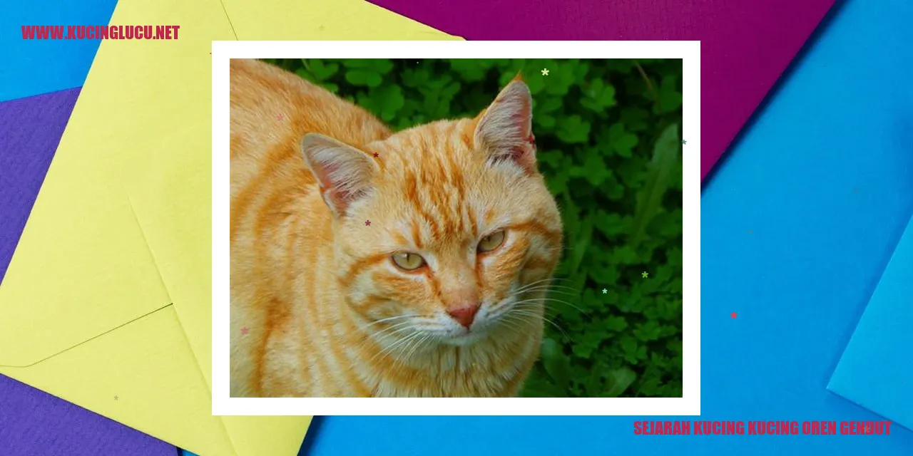 kucing oren gendut