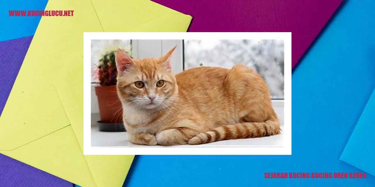 Gambar Kucing Oren Keren