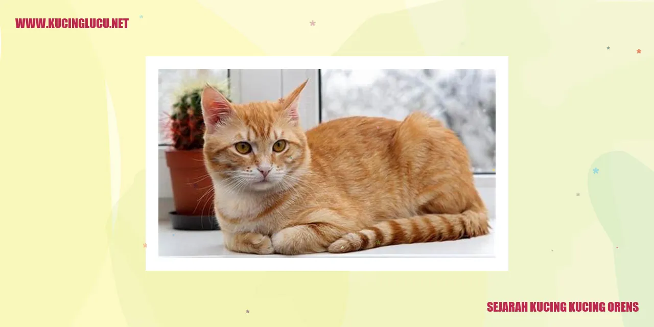 Kucing tabby oranye