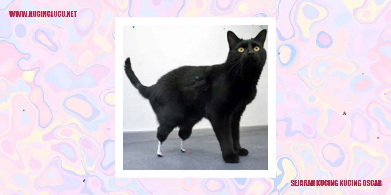 Gambar Kucing Oscar