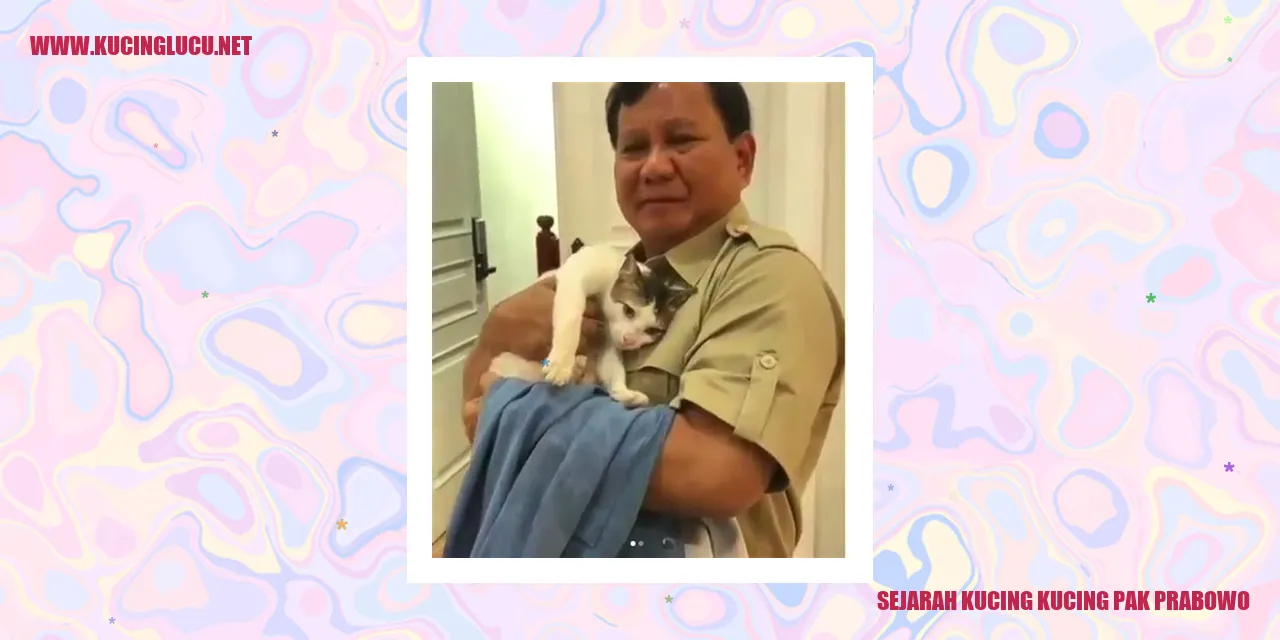 Sejarah Kucing-kucing Pak Prabowo