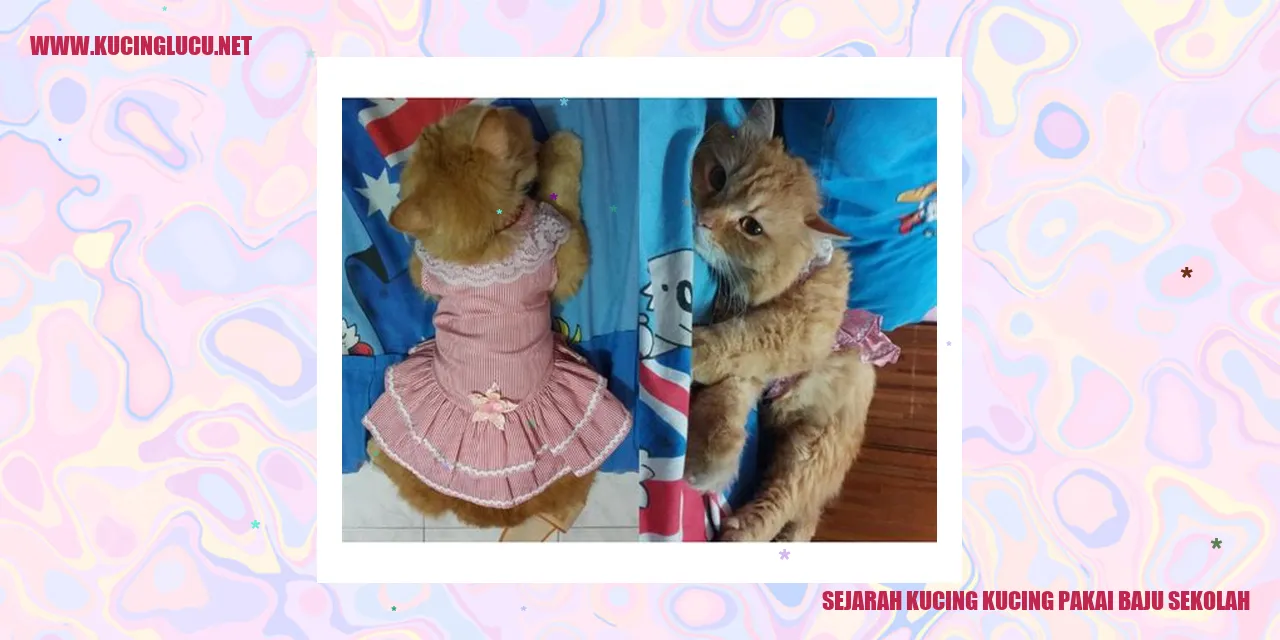 Gambar Kucing Pakai Baju Sekolah