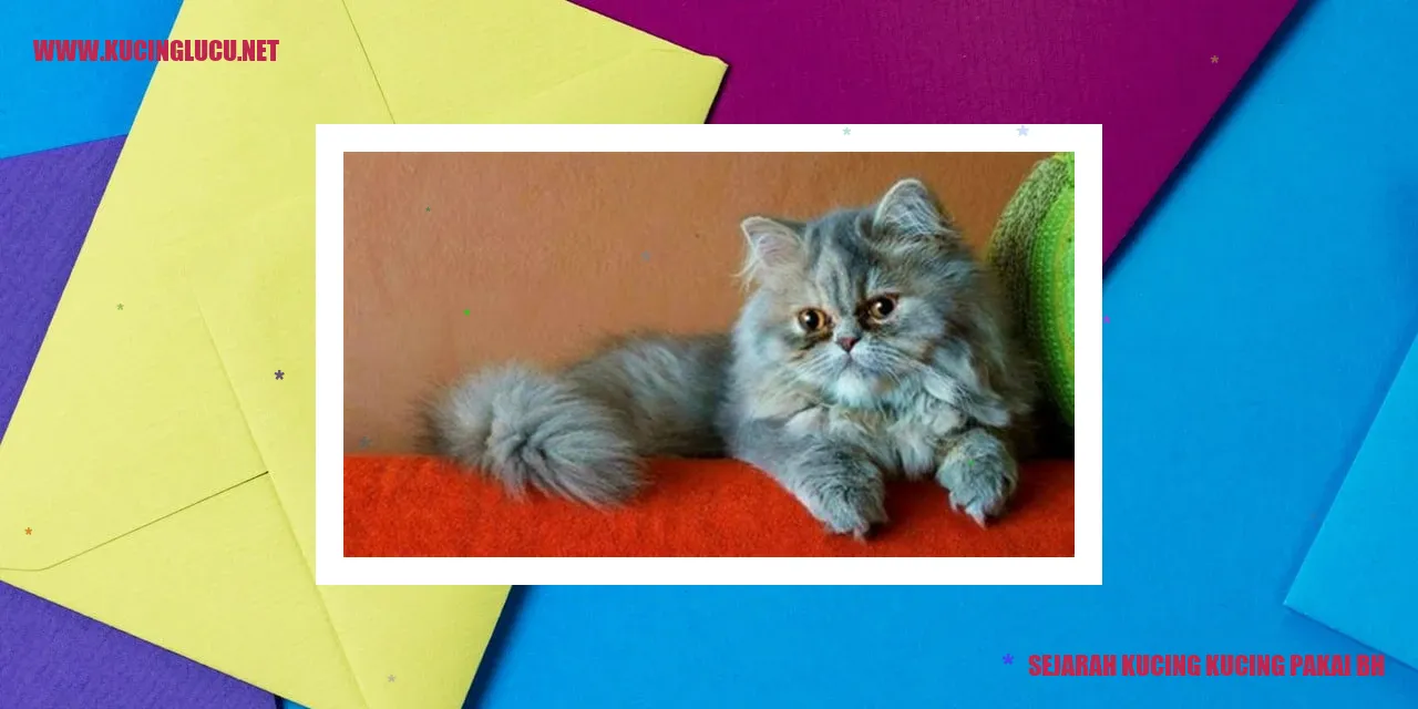 Kucing Menggunakan Bh