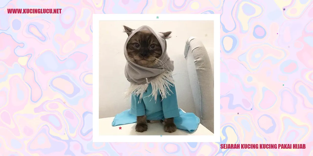 Gambar kucing berhijab