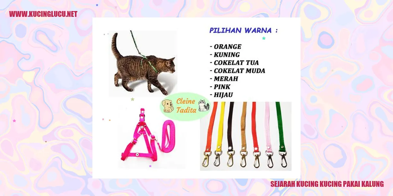 Kucing pakai kalung
