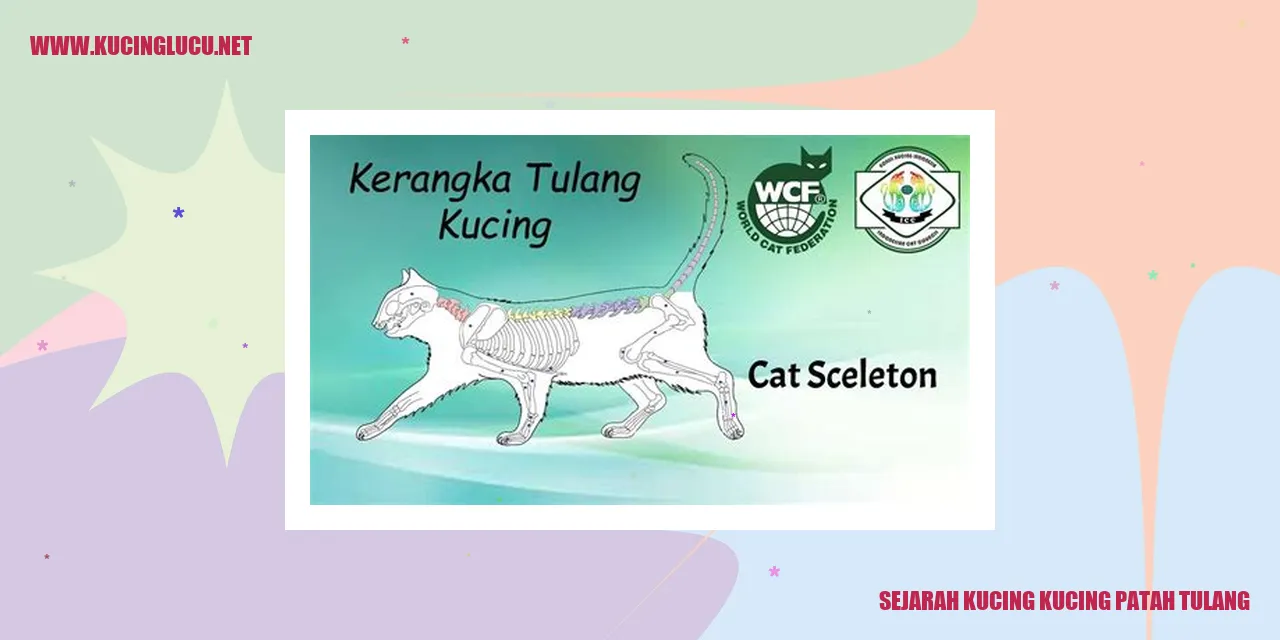 Gambar Kucing Mengalami Patah Tulang