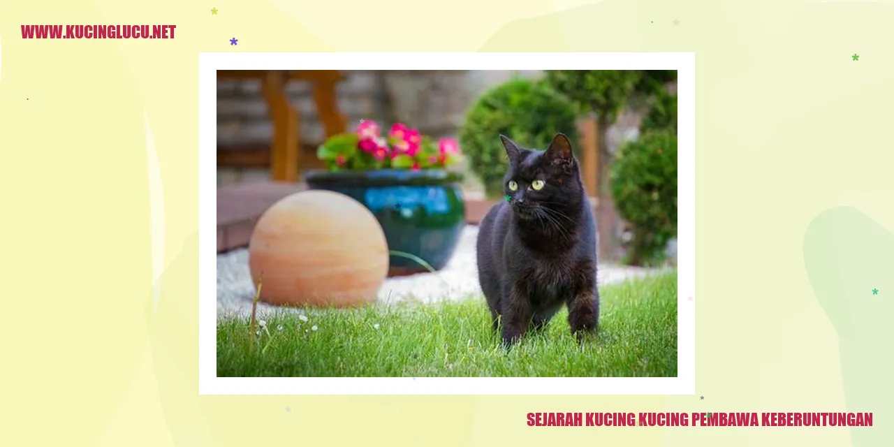 Kucing Pembawa Keberuntungan