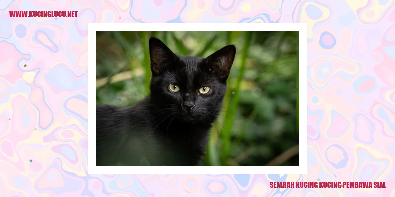 Kucing Pembawa Sial