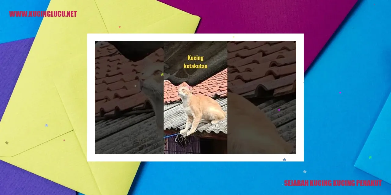 Kucing penakut