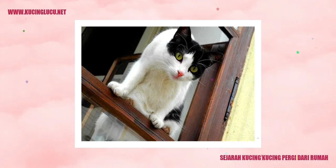 Gambar Kucing yang Melakukan Ekspedisi dari Rumah