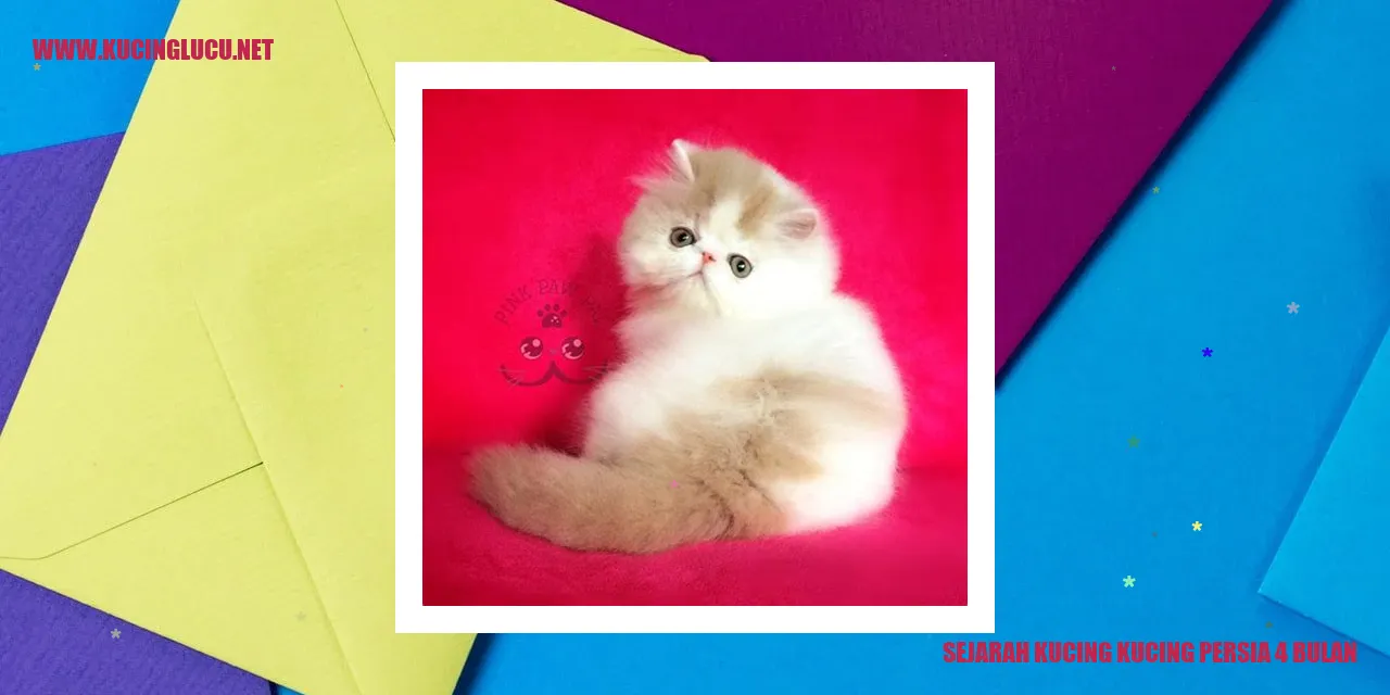 Sejarah Kucing Persia