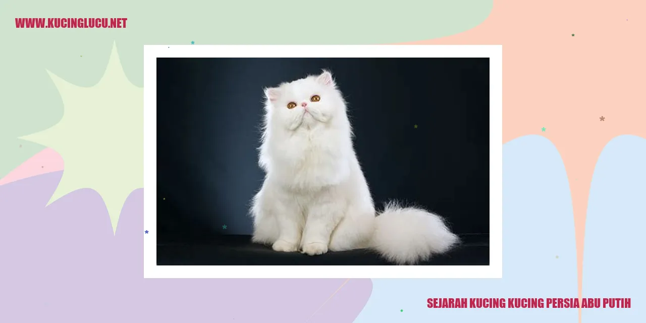 Kucing Persia Abu Putih