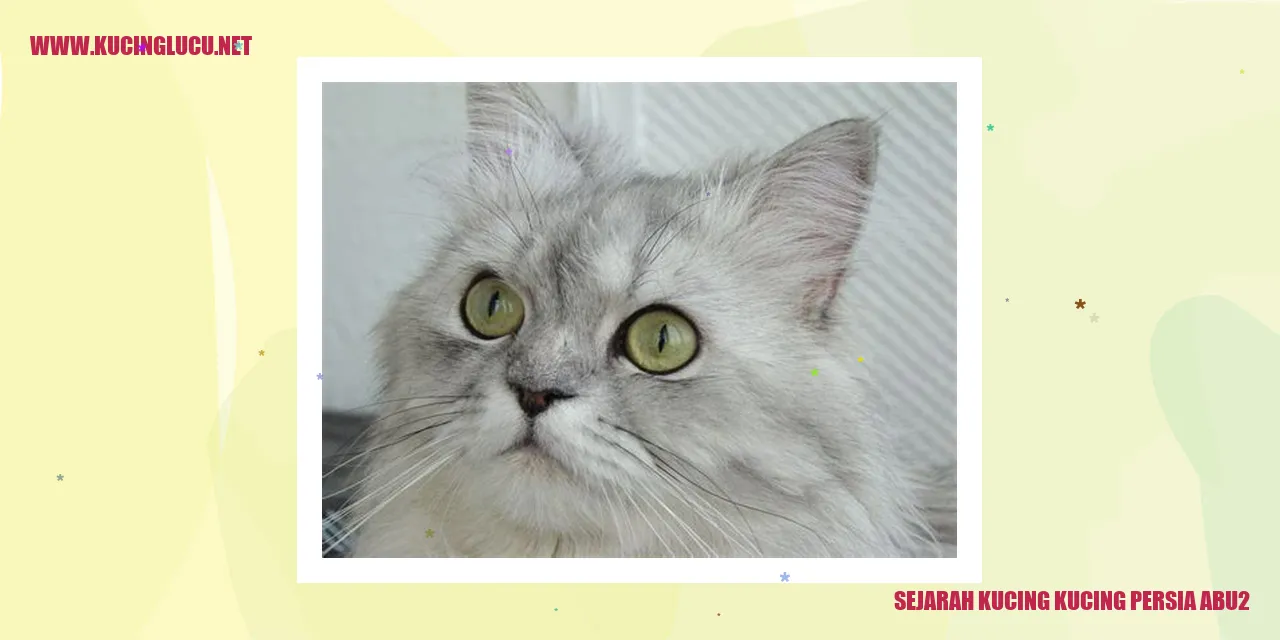 Gambar Kucing Persia Abu-Abu
