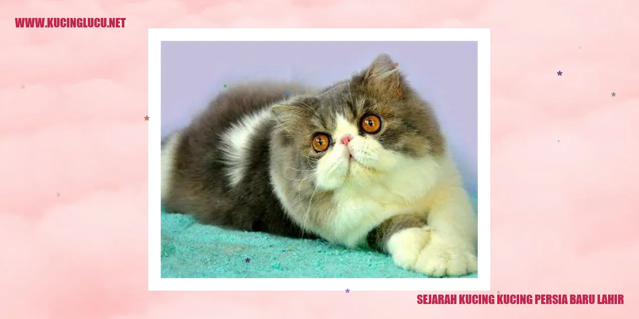 Kucing Persia