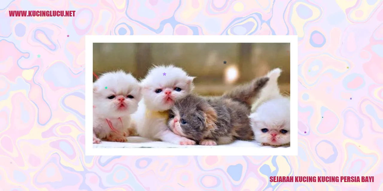 Gambar Kucing Persia Bayi