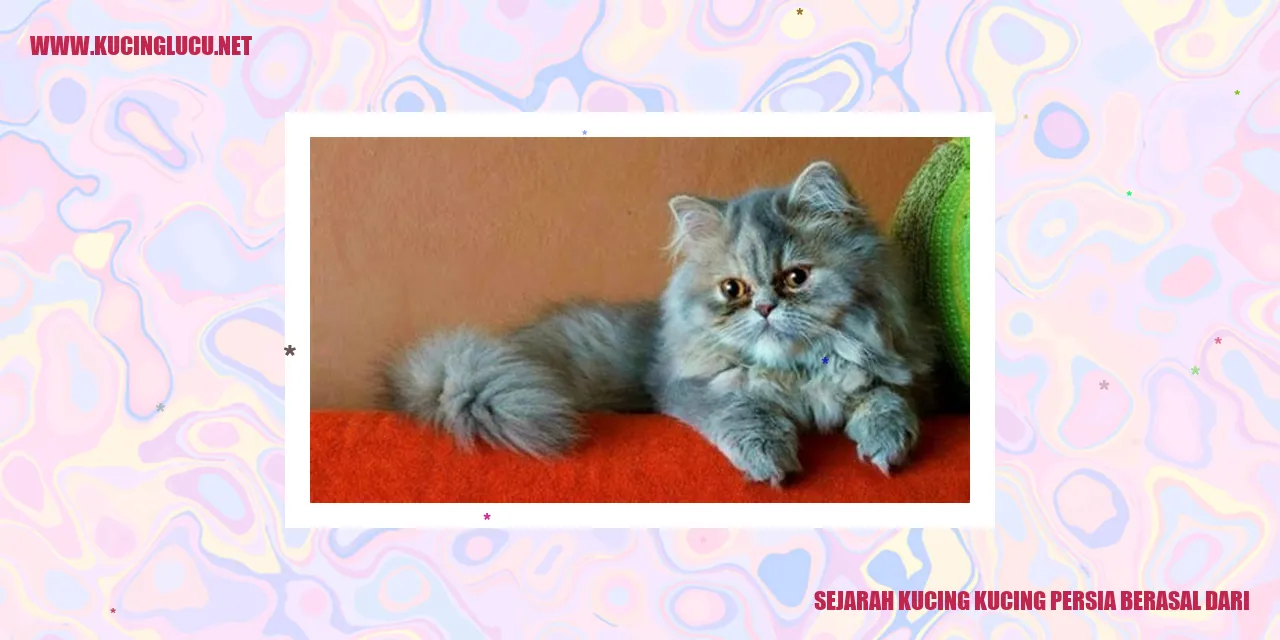 Kucing Persia