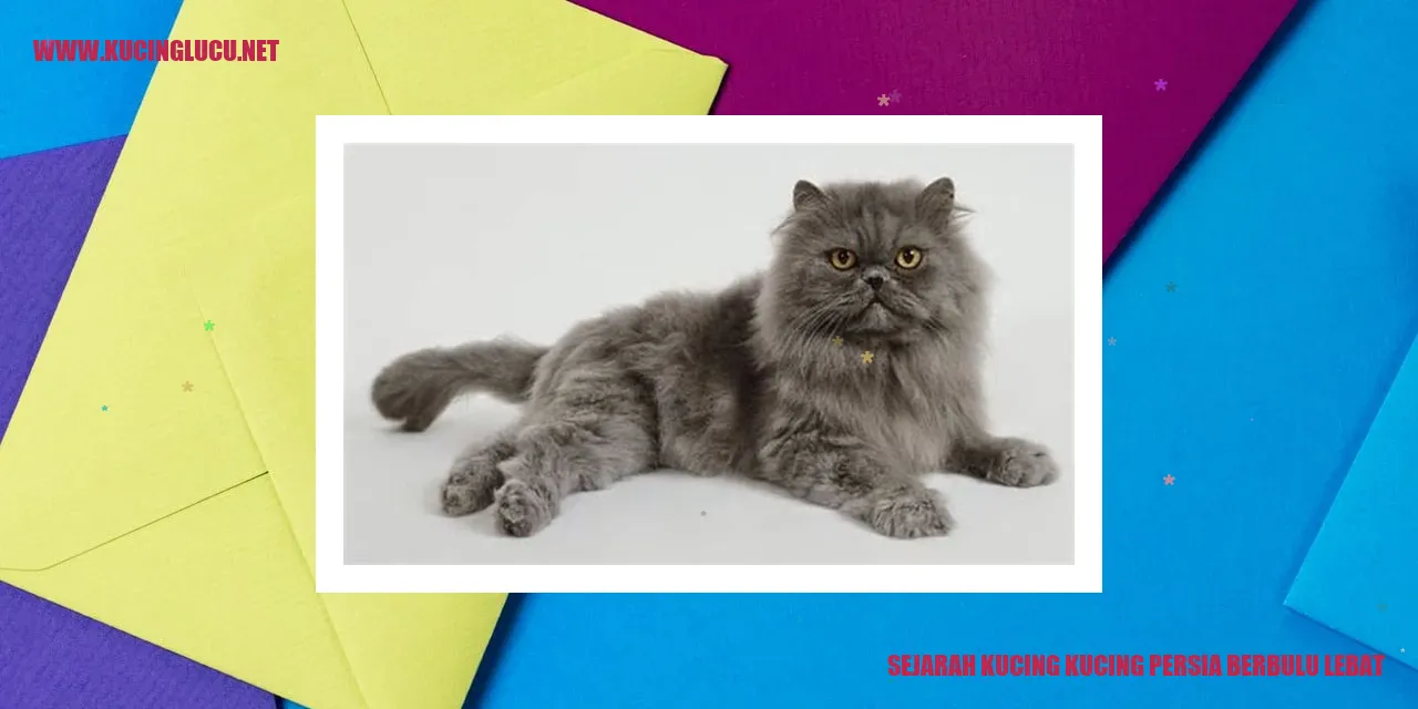 Kucing Persia Berbulu Lebat