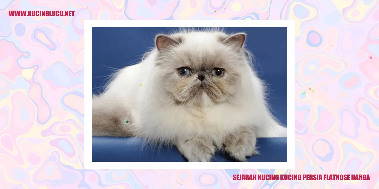 kucing persia hidung pesek