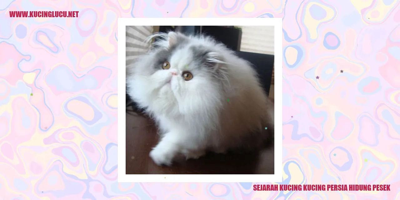Kucing Persia Hidung Pesek