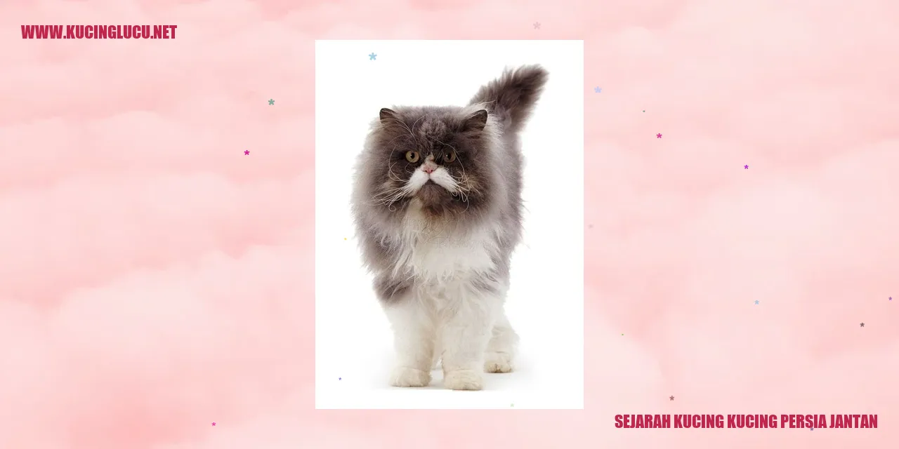 Sejarah Kucing Persia Jantan